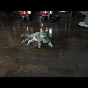 Meet your Posher, Carol